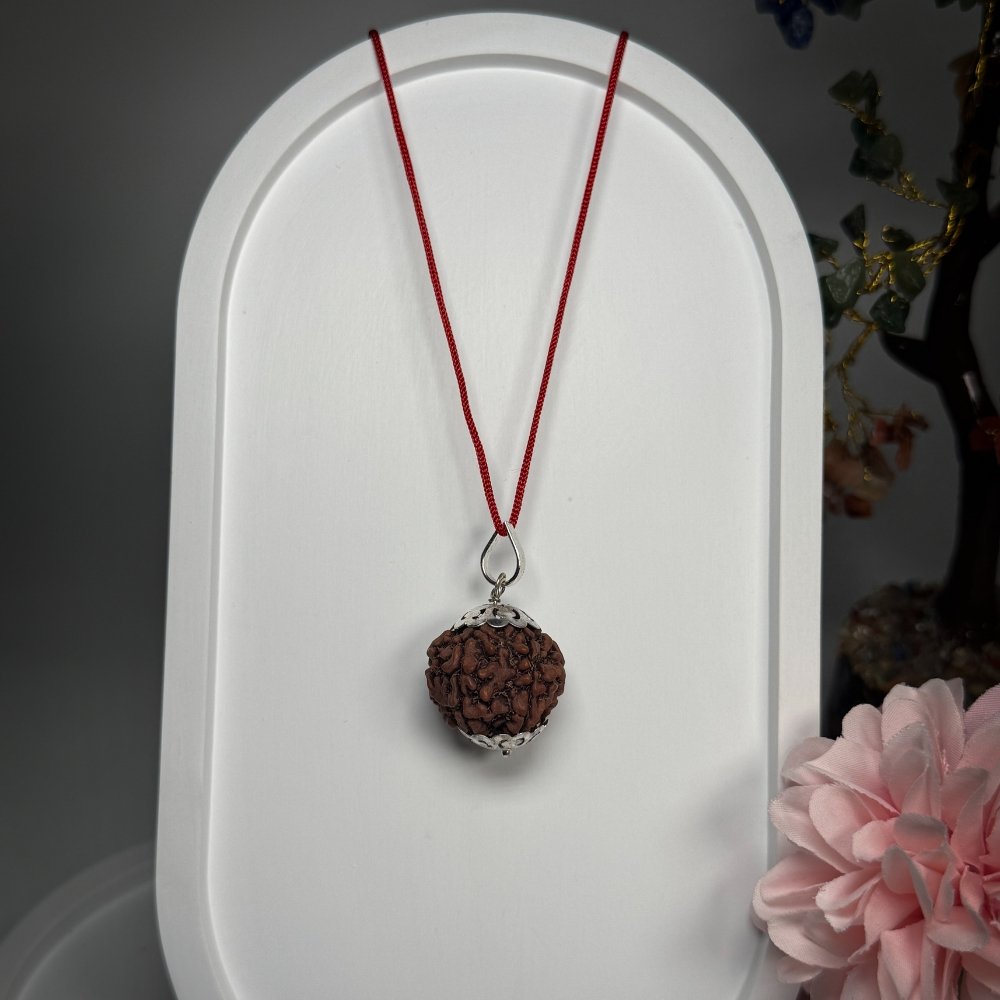 5 Mukhi Nepali Rudraksha with Silver Locket