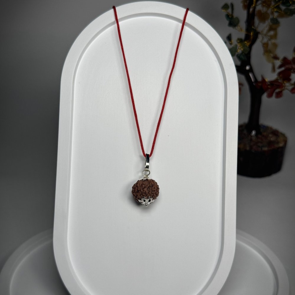 7 Mukhi Rudraksha with Silver Locket – Saat Mukhi