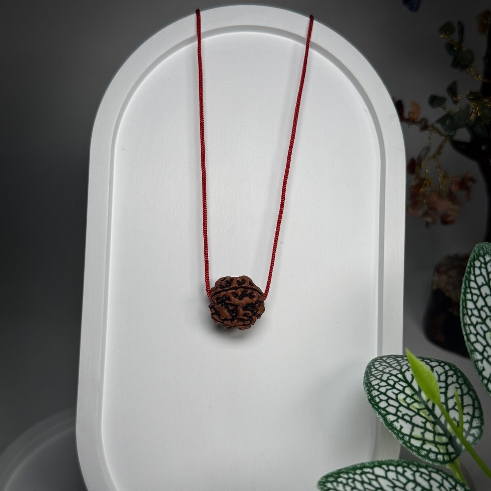 4 Mukhi Nepali Rudraksha – Chaar Mukhi